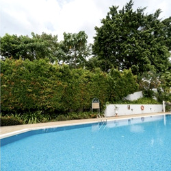 Dunearn Road (D11), Condominium #596694101